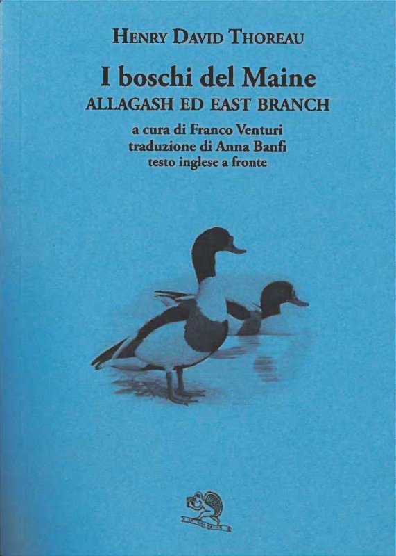 I boschi del Maine - Allagash ed East Branch
