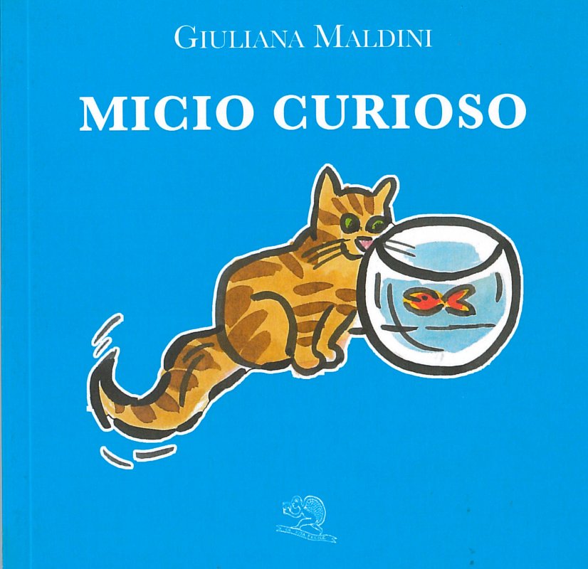 Micio curioso