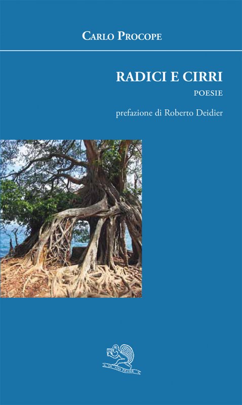 Radici e cirri