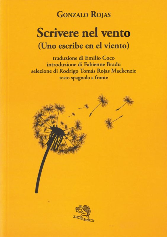 Scrivere nel vento