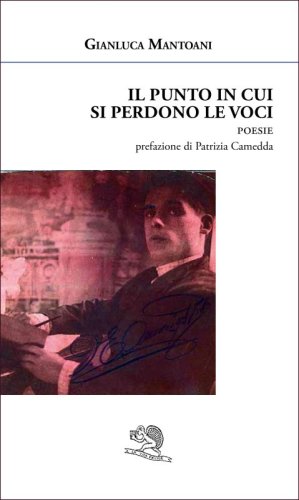 Il punto in cui si perdono le voci